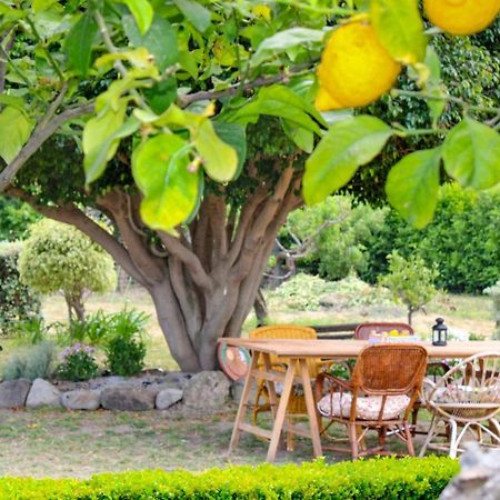 فيلا La Casa Di Lina - Capo D'Orlando, Casa Con Ampio Giardino المظهر الخارجي الصورة