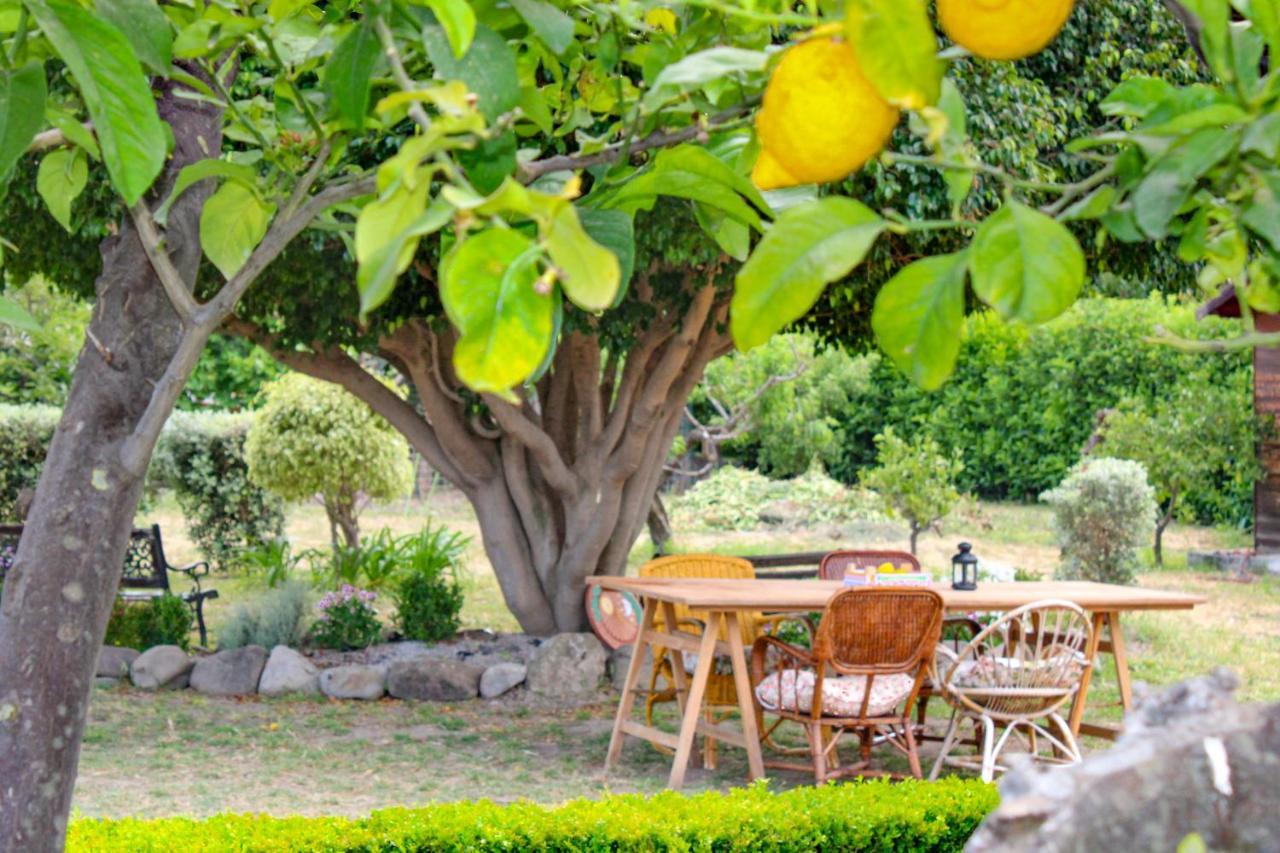 فيلا La Casa Di Lina - Capo D'Orlando, Casa Con Ampio Giardino المظهر الخارجي الصورة