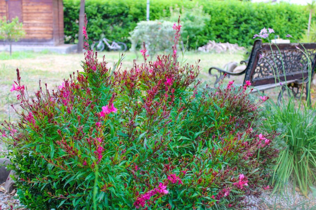 فيلا La Casa Di Lina - Capo D'Orlando, Casa Con Ampio Giardino المظهر الخارجي الصورة