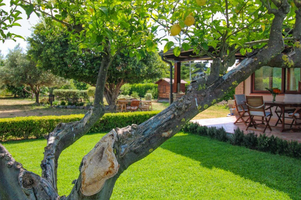 فيلا La Casa Di Lina - Capo D'Orlando, Casa Con Ampio Giardino المظهر الخارجي الصورة